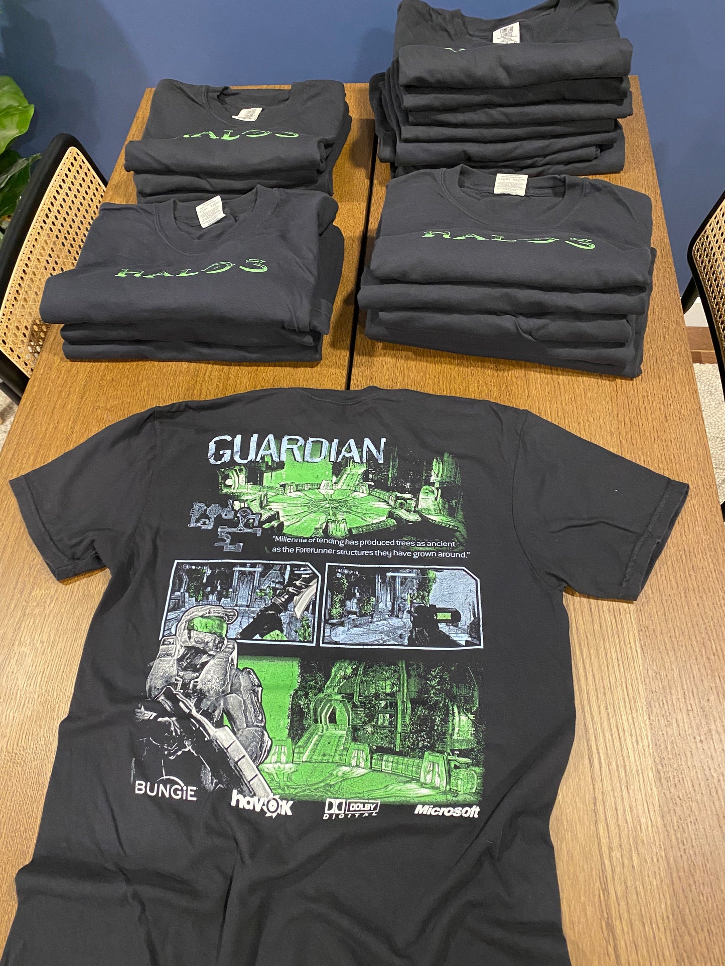 Guardian T-Shirt